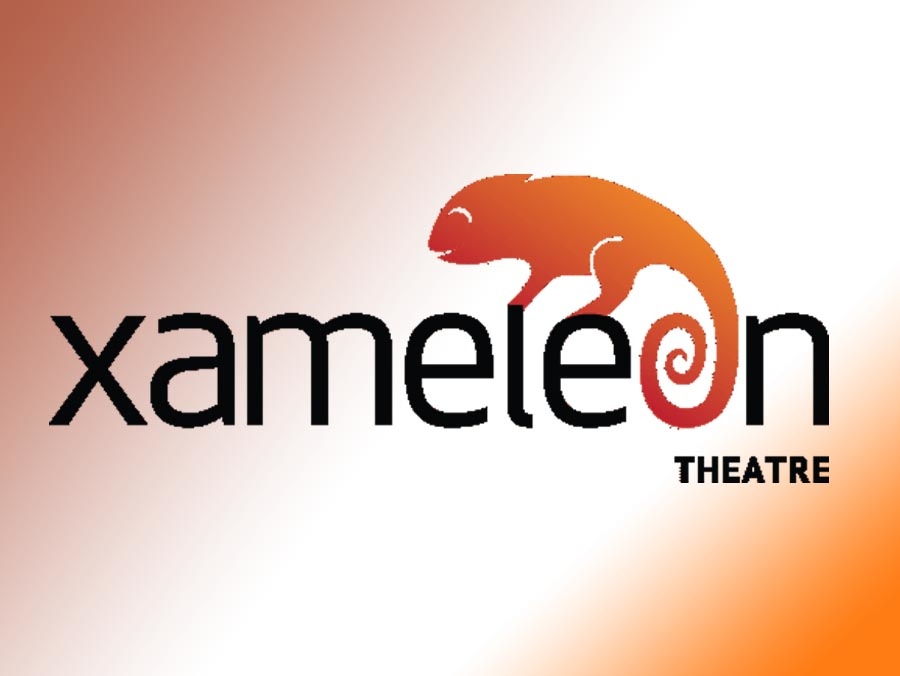 Театр «Хамелеон»